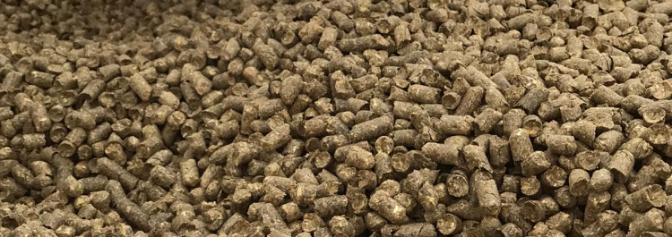 Korrels voer/strooi