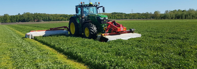 Biologische Grasklaver