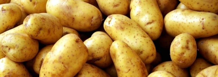 Aardappelen consumptie