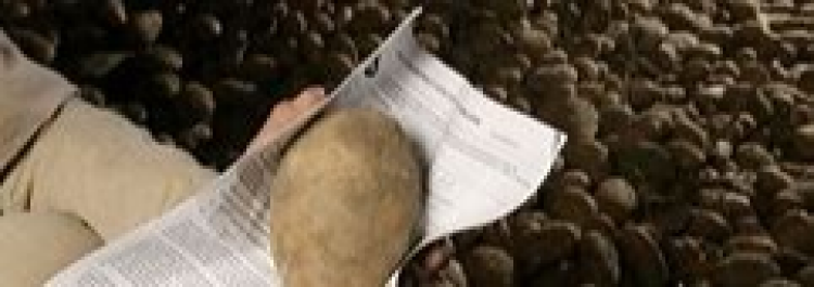 Aardappelcontracten