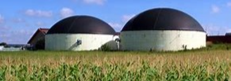 Input voor biogasinstallaties