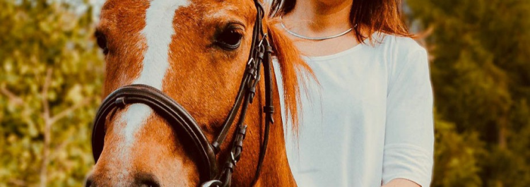 Alles für Pensionspferde