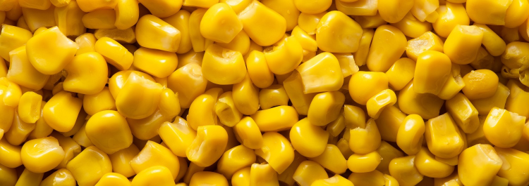 Maïs