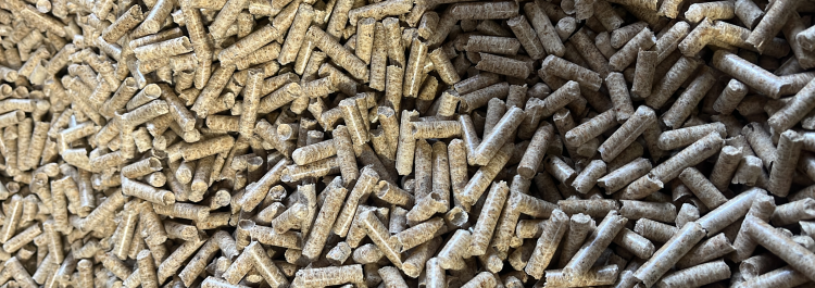 Holzpellets