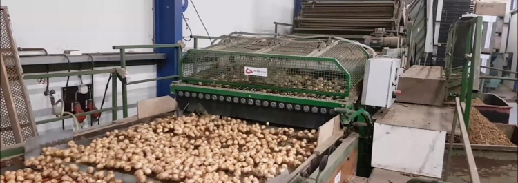 Machines bloembollen