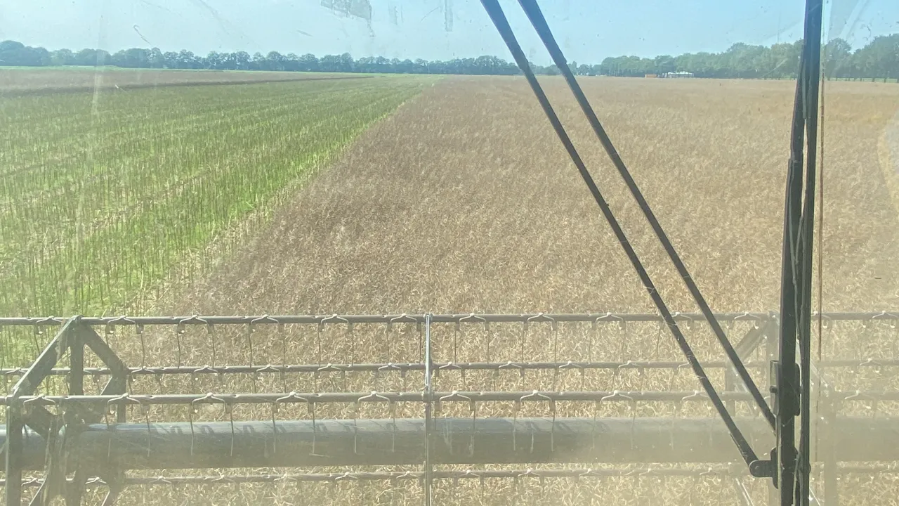 Akkerbouwbedrijf Boer