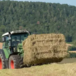 Agrar Krüger