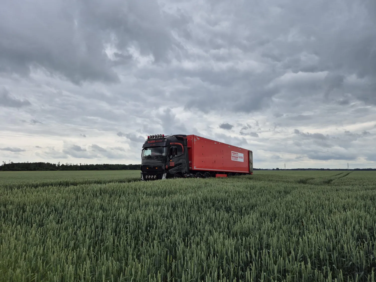 Geitenmest kopen - 400-500 ton beschikbaar