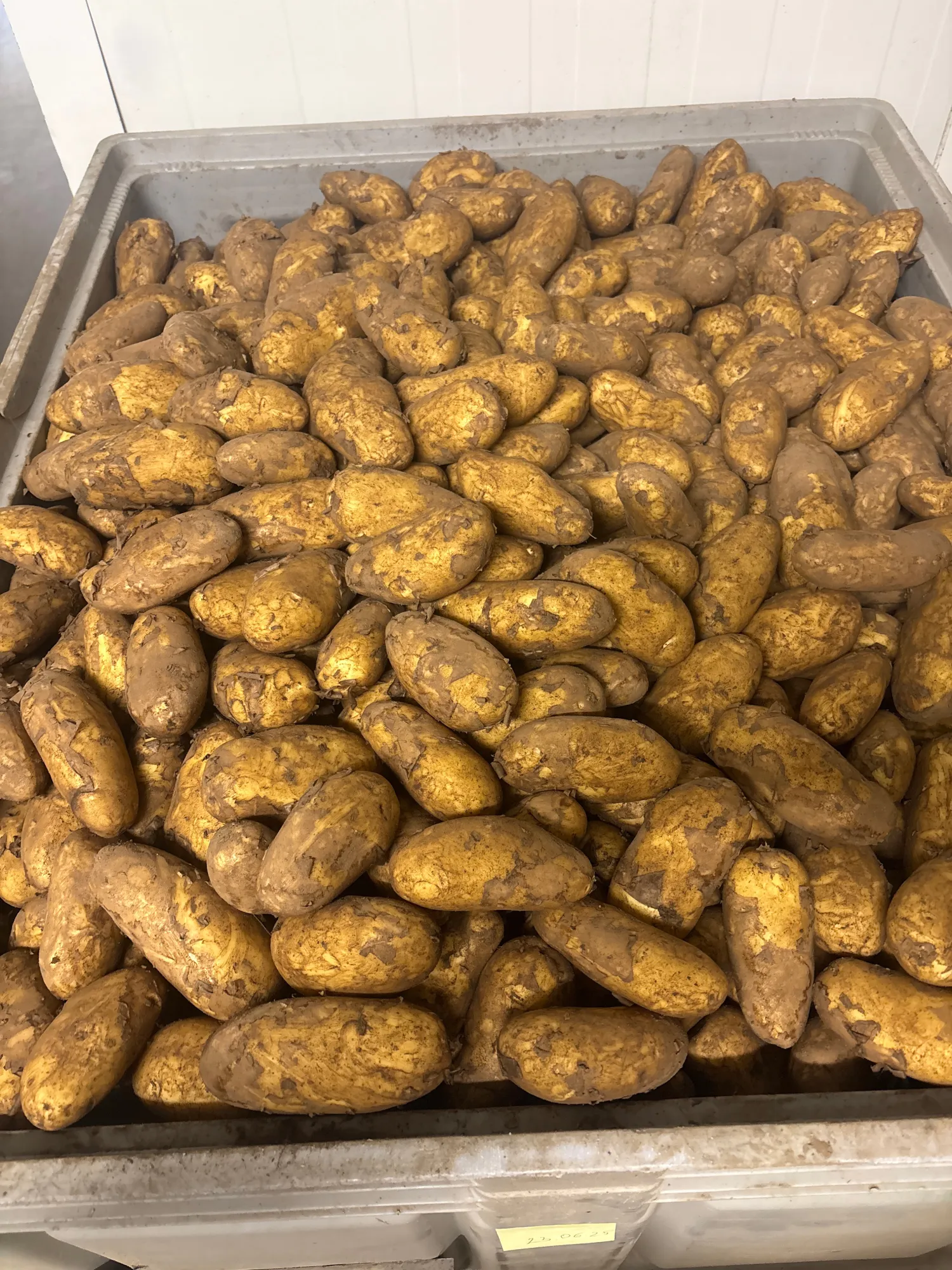 New Crop Potatoes: 3 tons Leyla/Annabelle