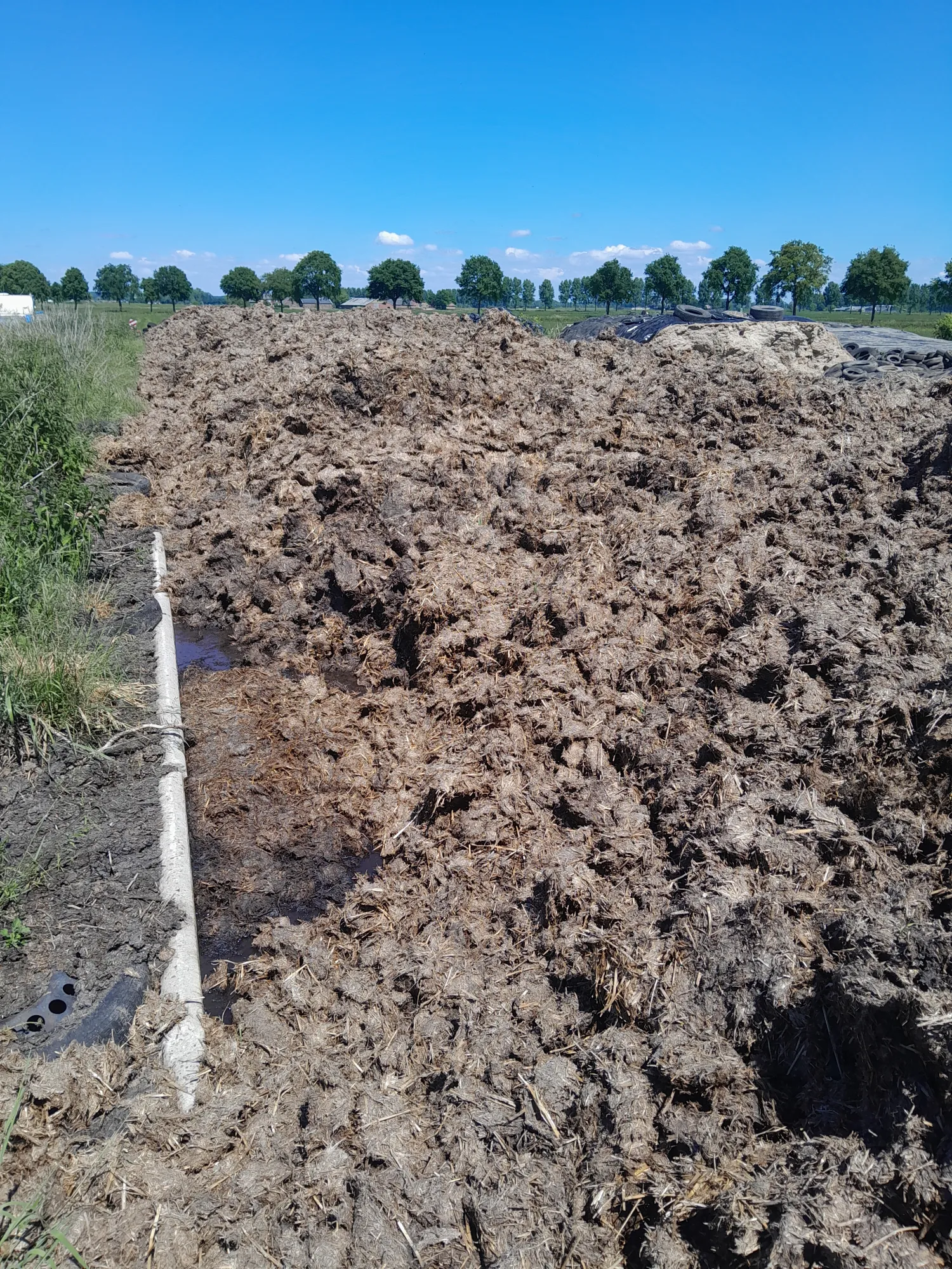 1000 ton Vaste Mest met Transport & Bemonstering