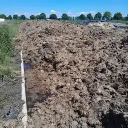 https://cdn.farmtrade.nl/media/152018/conversions/HmtO4q-thumbnail.webp