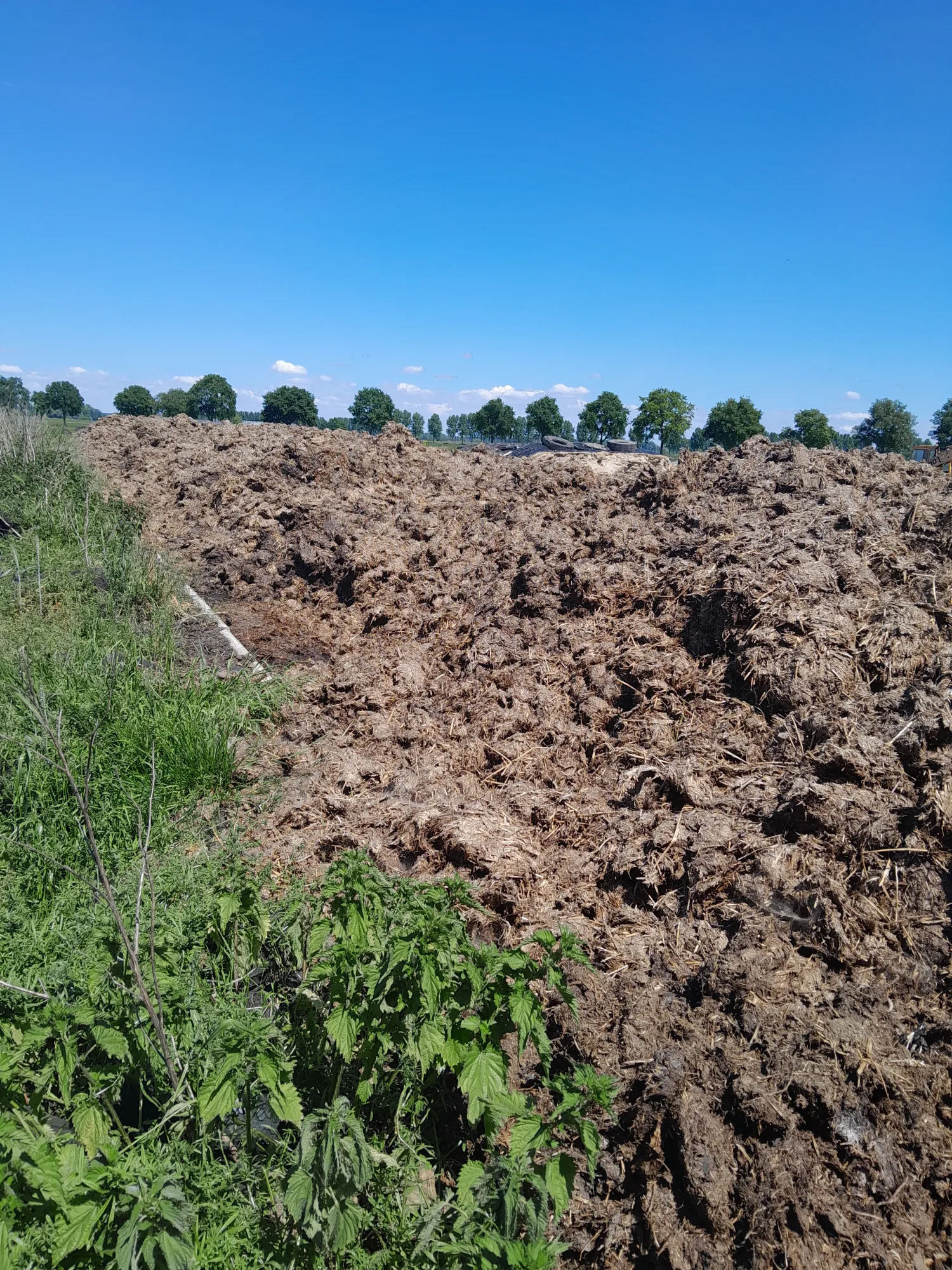 1000 ton Vaste Mest met Transport & Bemonstering