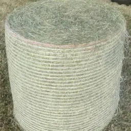 https://cdn.farmtrade.nl/media/152186/conversions/errUwe-thumbnail.webp