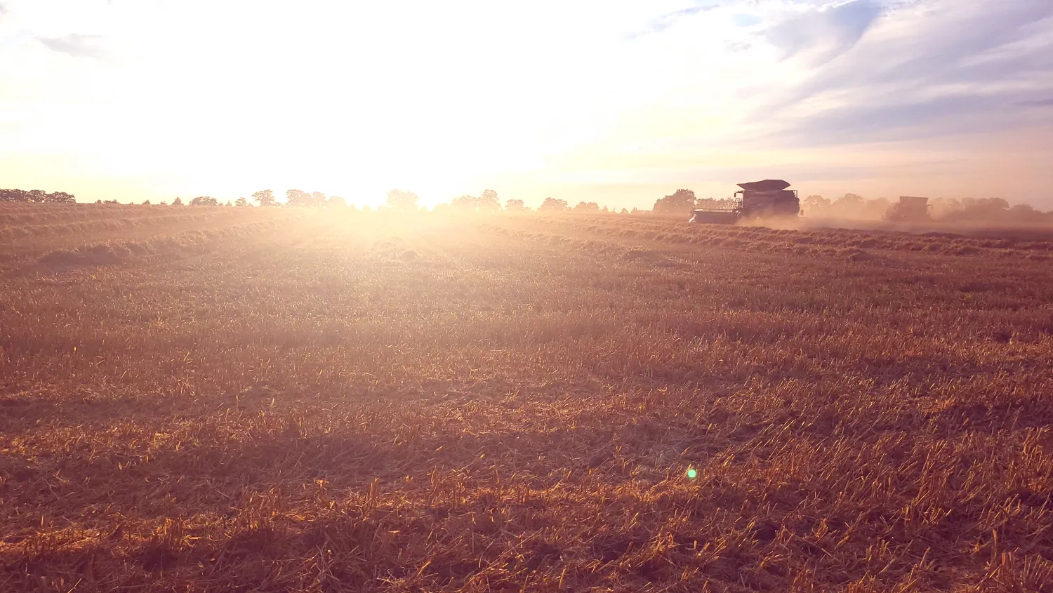 Hire Certified Harvest Workers | From 20 EUR/hour