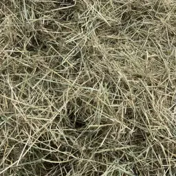 Kup siano - Najwyższa jakość prosto z gospodarstwa