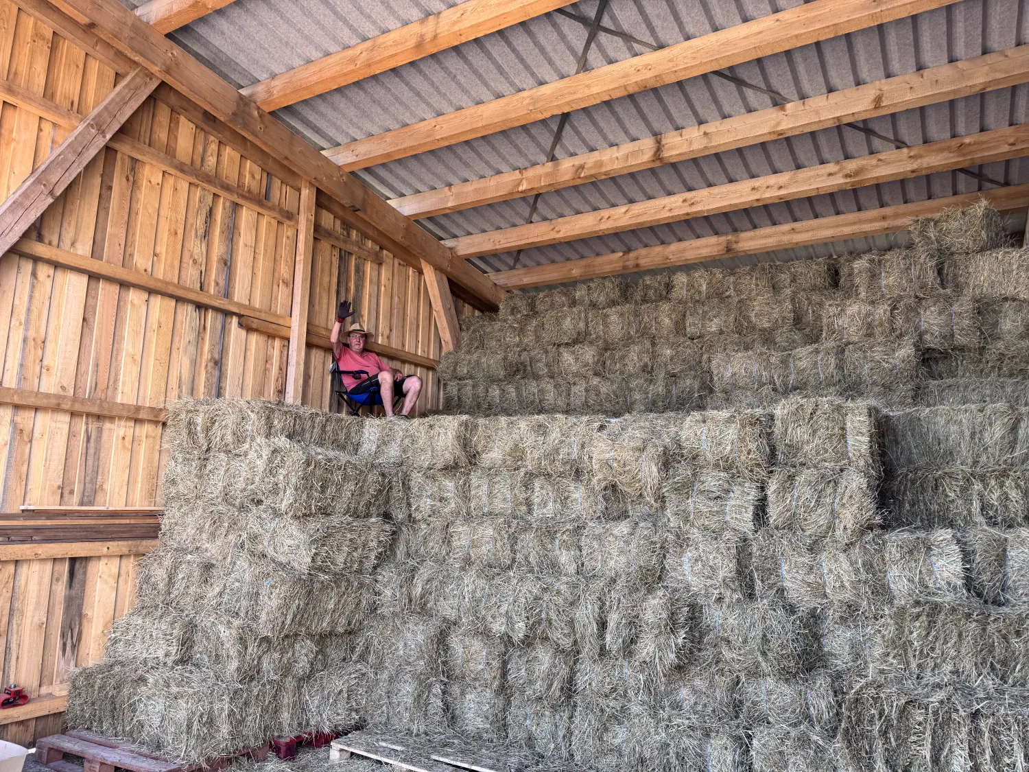 Buy Hay: Premium Quality Straight From The Farm