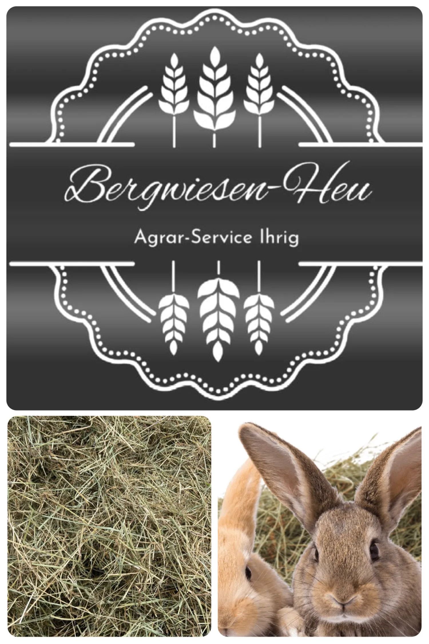 Buy Hay: Premium Quality Straight From The Farm