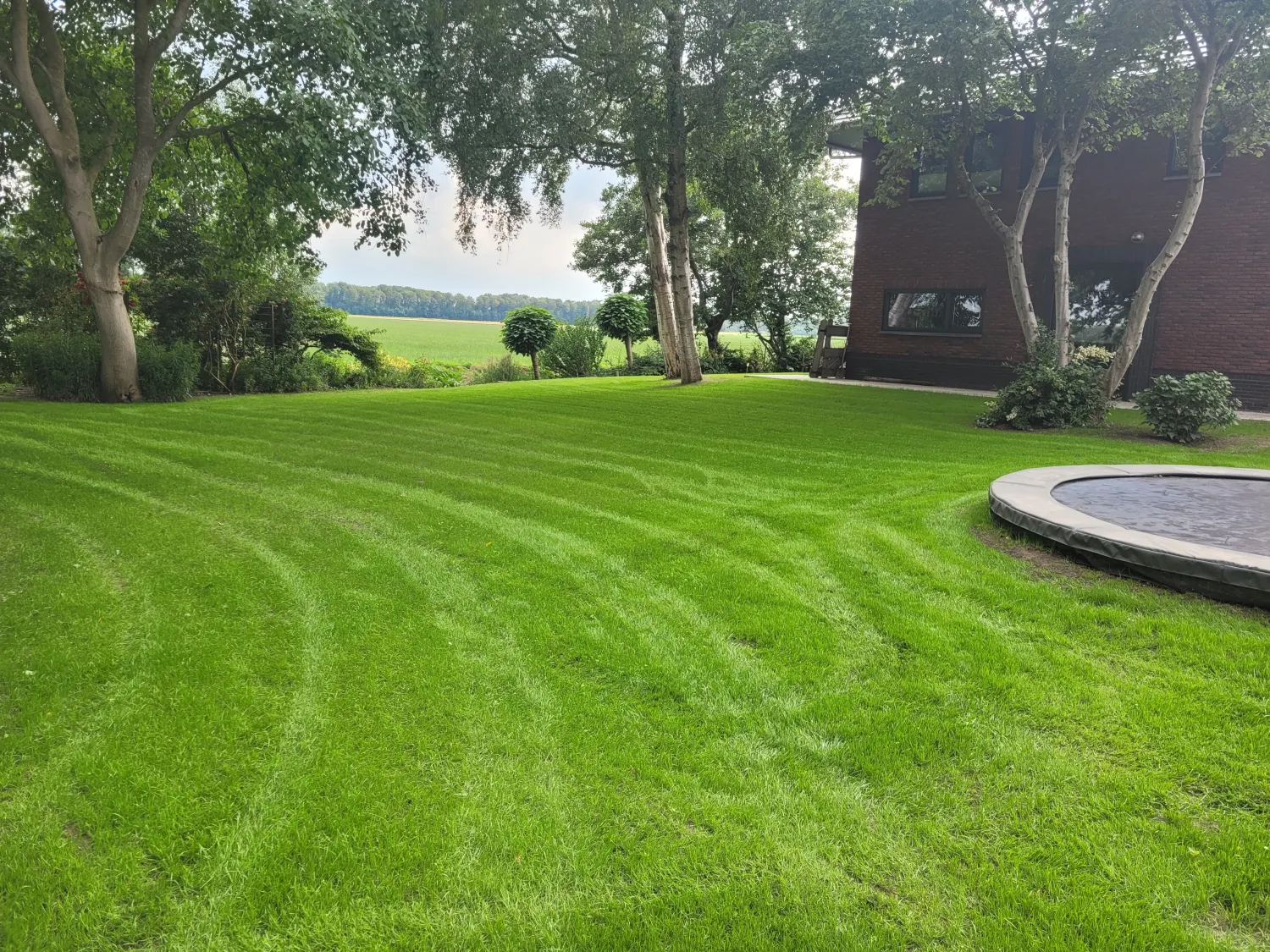 Garden Maintenance & Lawn Installation | De Graaf Services