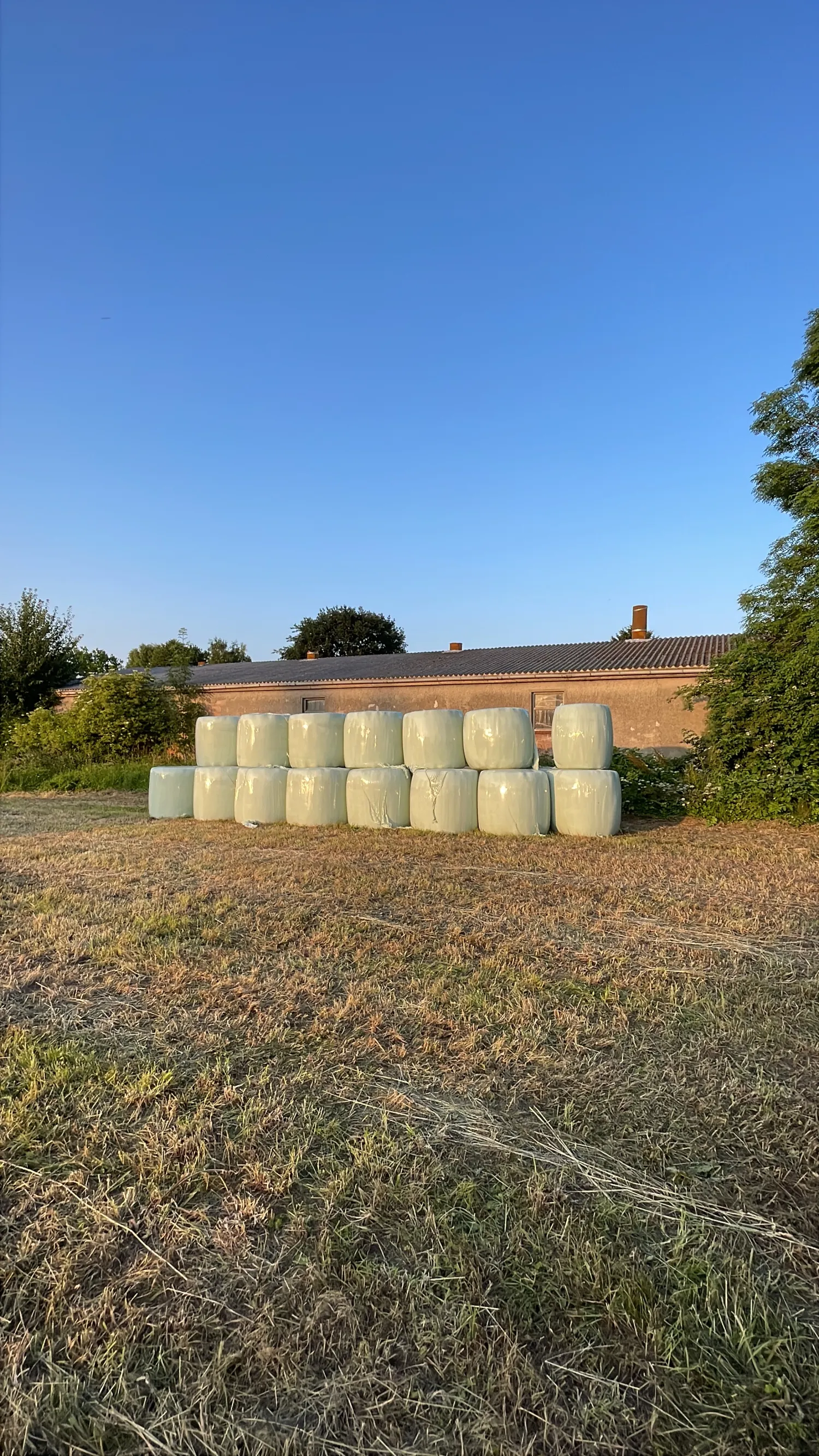 Hay for Sale: Dry Haylage Round Bales, 1st Cut 2025