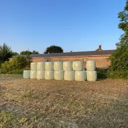 Hay for Sale: Dry Haylage Round Bales, 1st Cut 2025
