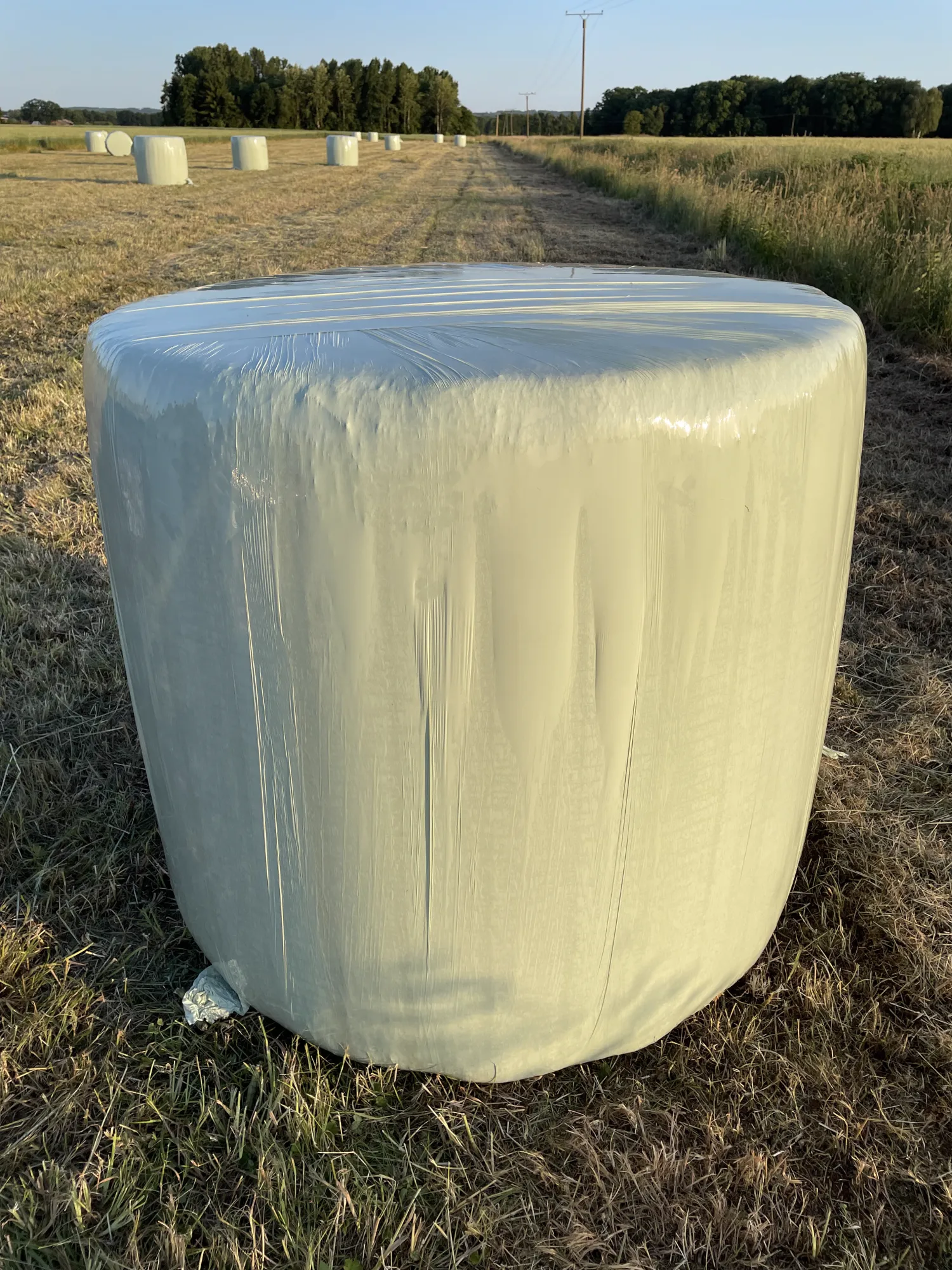 Hay for Sale: Dry Haylage Round Bales, 1st Cut 2025
