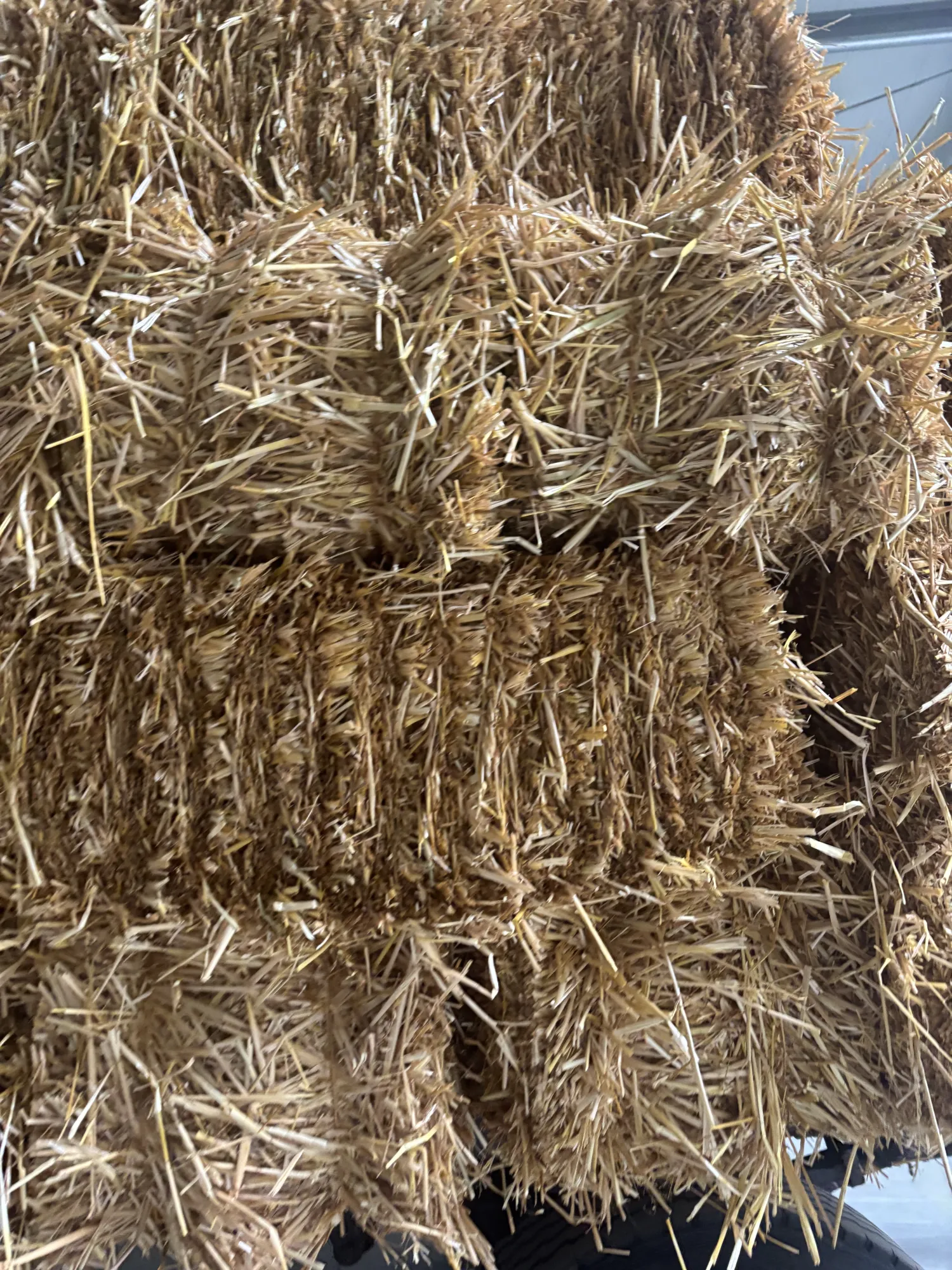 Haferstroh HD Ballen, Ernte 2025 – Top Qualität