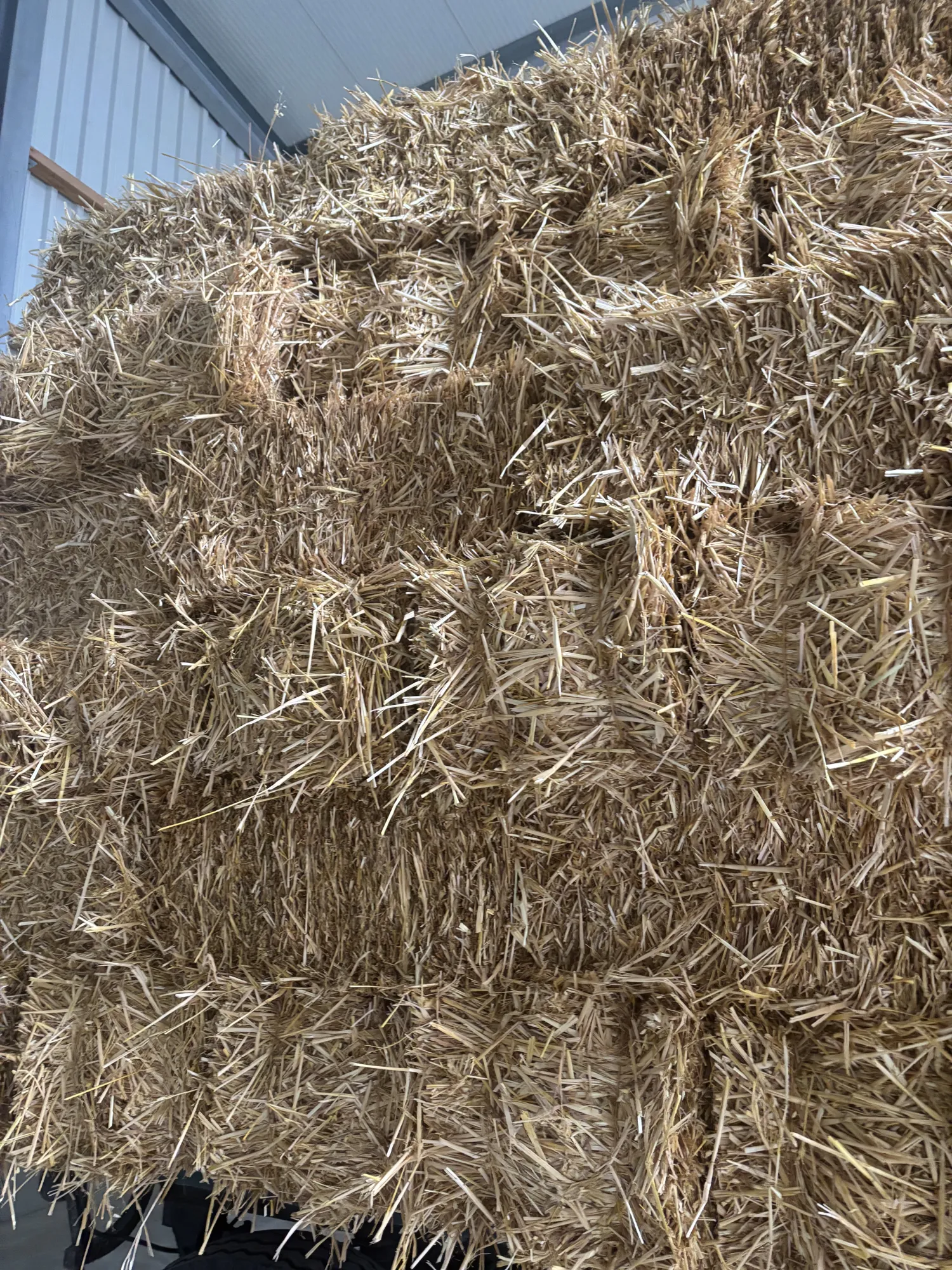 Haferstroh HD Ballen, Ernte 2025 – Top Qualität