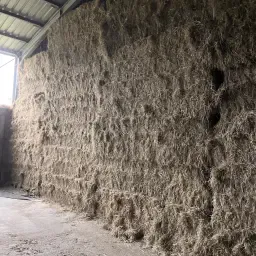 Wir Bieten Hochwertige Heuballen Aus