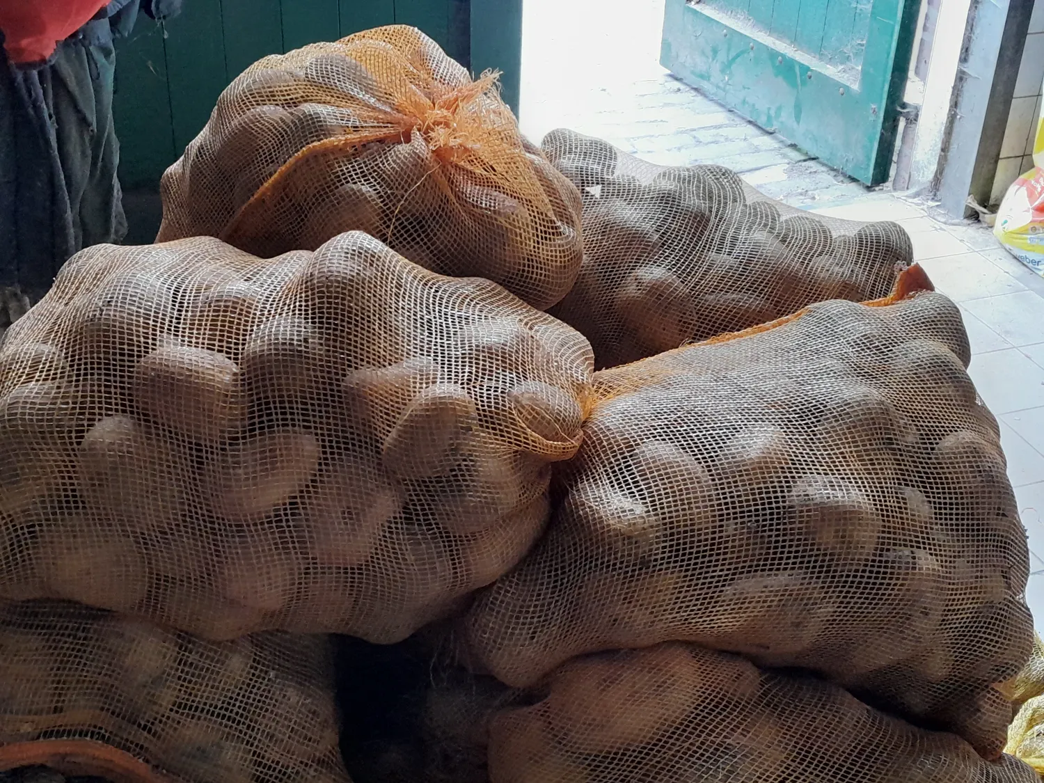 Frieslander Kartoffeln Neue Ernte Kaufen