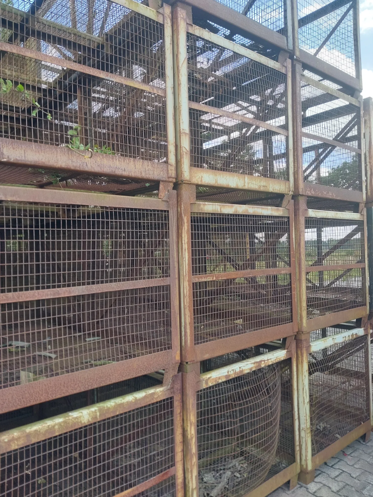 Wanted: Potato Bulk Boxes - DDR Boxes 1500kg Capacity