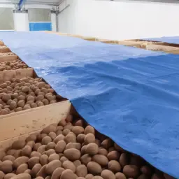 https://cdn.farmtrade.nl/media/153830/conversions/6EqbOrXd3shQsl-thumbnail.webp