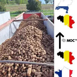 Kartoffeltransport | Frankreich & Belgien nach Deutschland