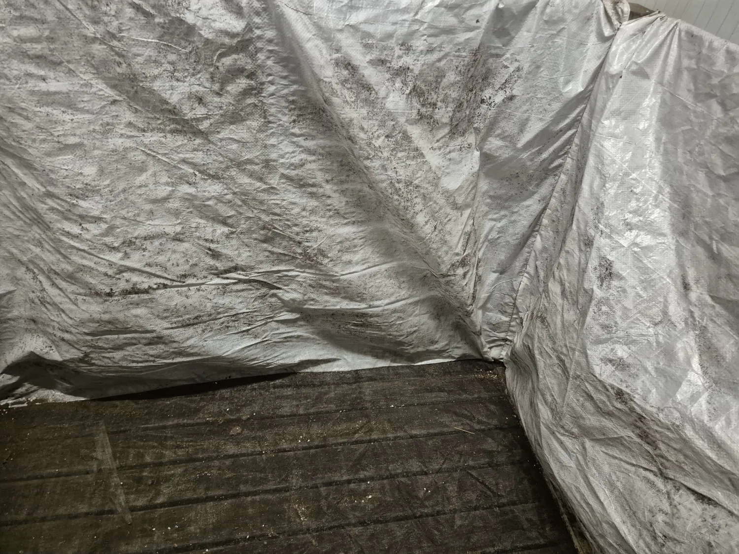 Sacos de Grano en Venta - Reutilizables y Económicos