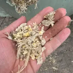 https://cdn.farmtrade.nl/media/154359/conversions/3iKkx4-thumbnail.webp