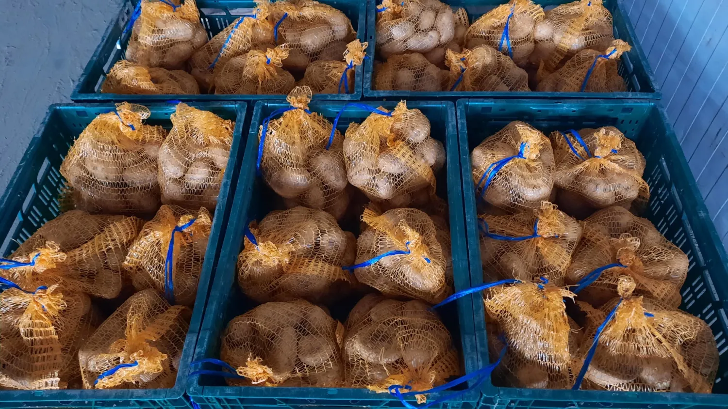 Aardappelen te Koop: Bildstar, Eigenheimer & Meer | Scherpe Prijs