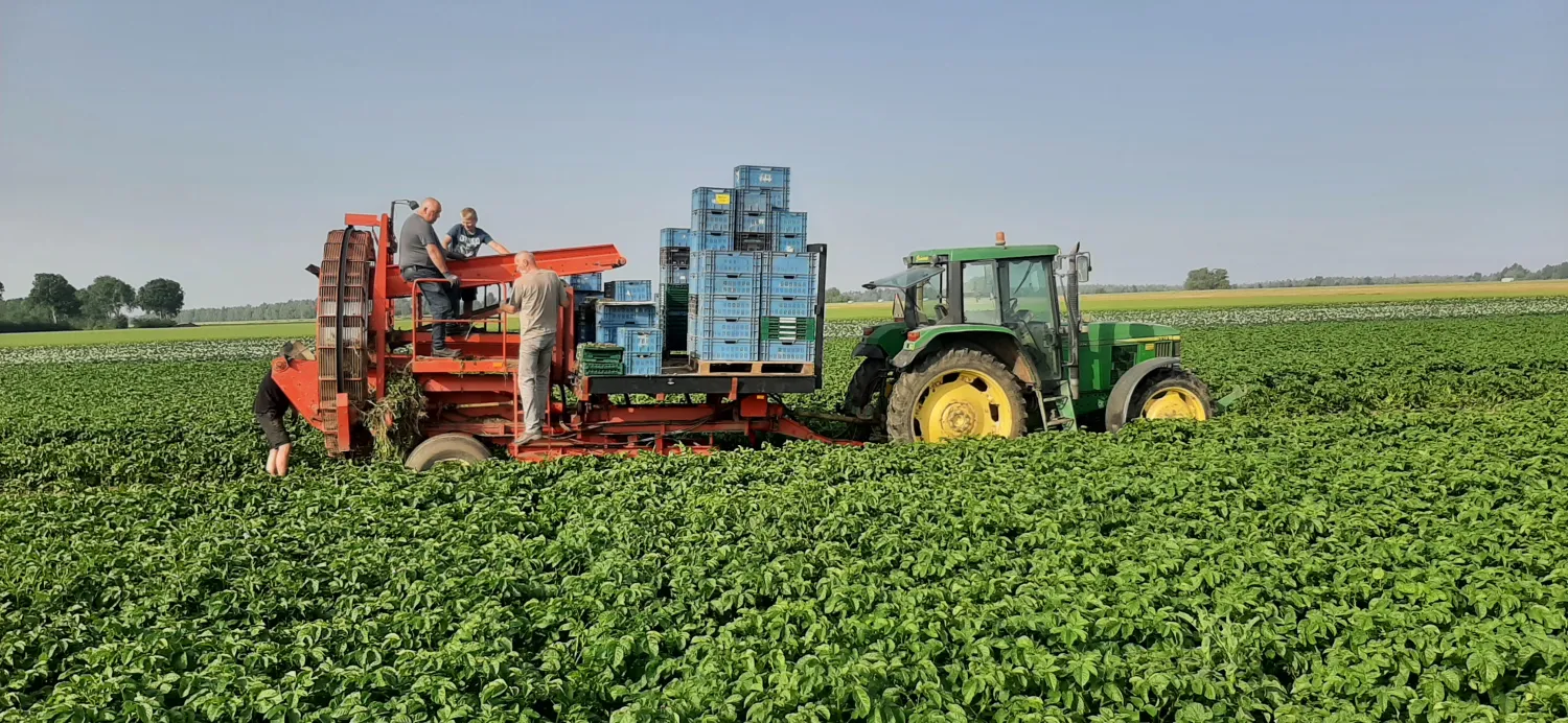 Aardappelen te Koop: Bildstar, Eigenheimer & Meer | Scherpe Prijs