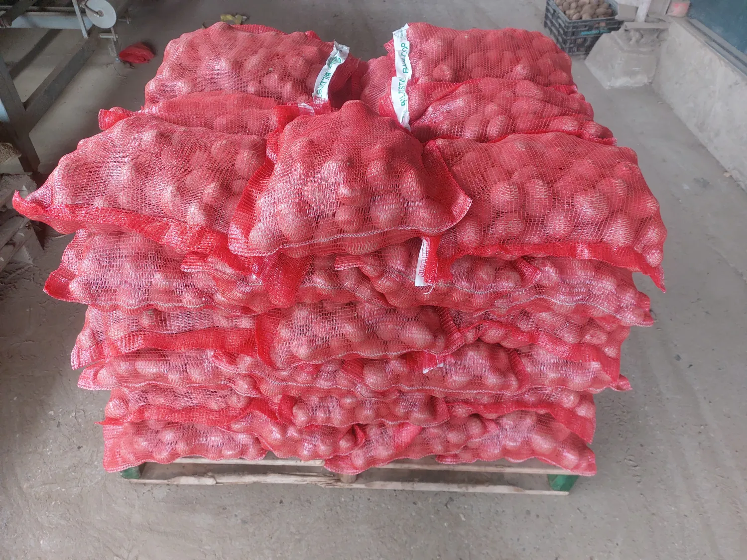 Aardappelen te Koop: Bildstar, Eigenheimer & Meer | Scherpe Prijs