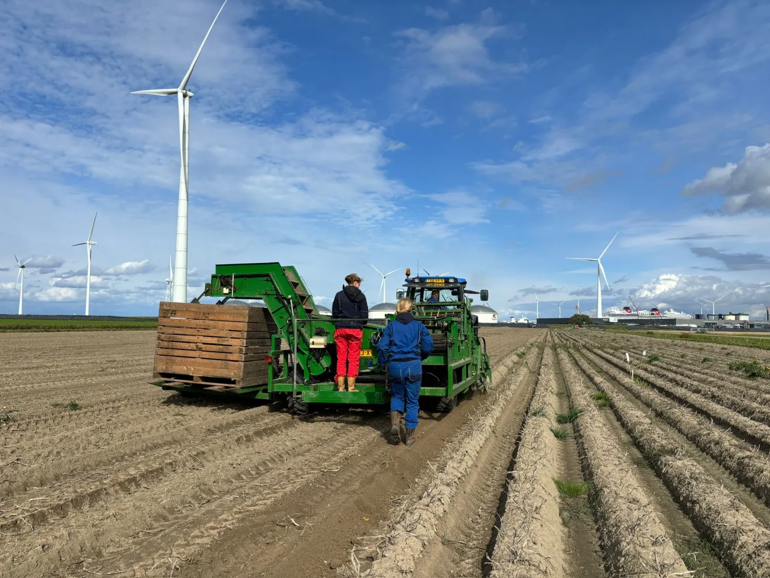 Aardappelrooier te koop - Rekord 1 | Goede staat