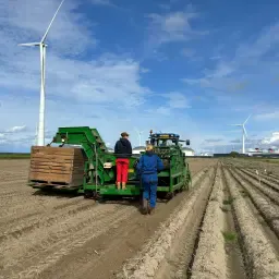 https://cdn.farmtrade.nl/media/154702/conversions/kxJmqr-thumbnail.webp