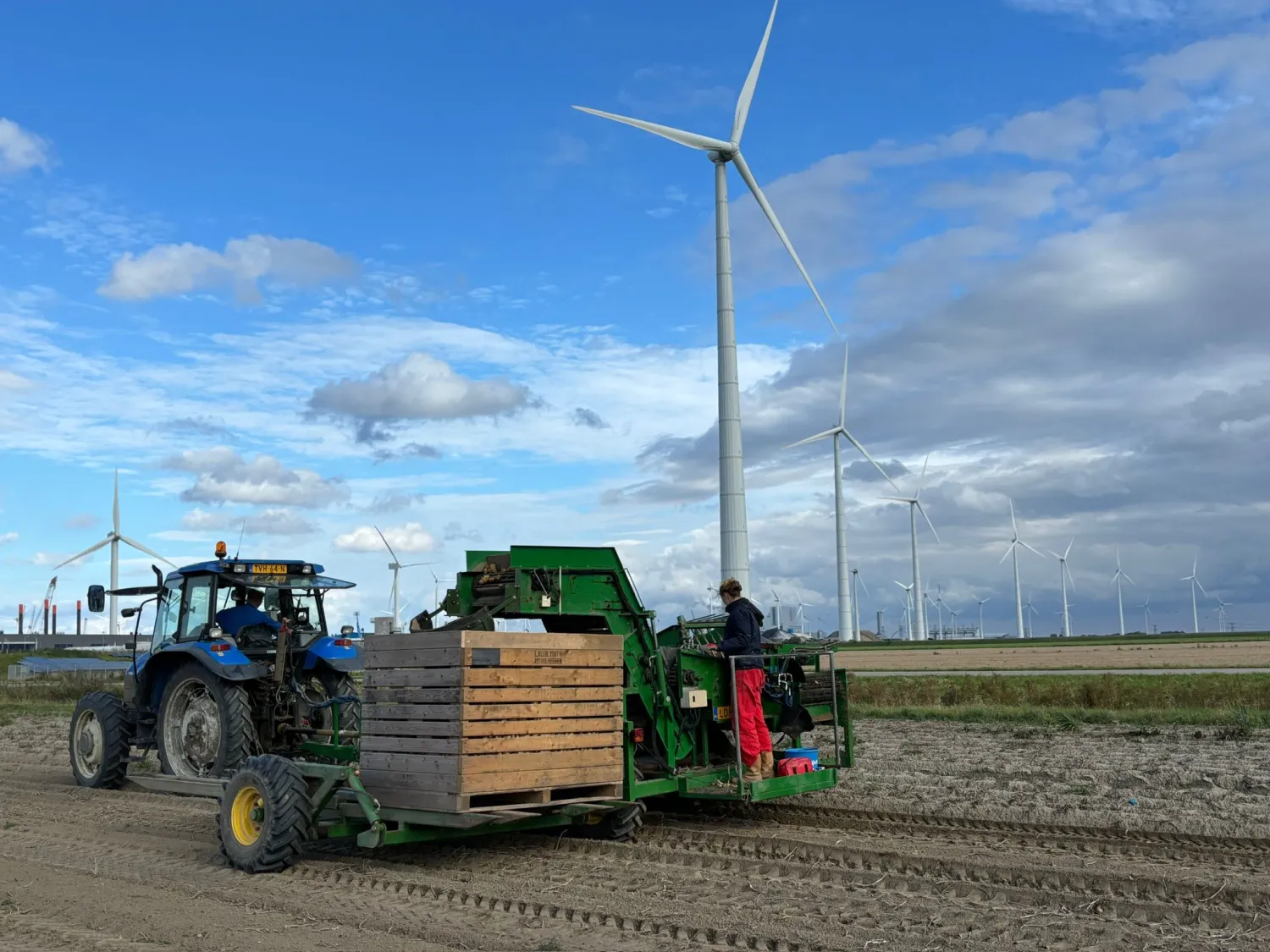 Aardappelrooier te koop - Rekord 1 | Goede staat