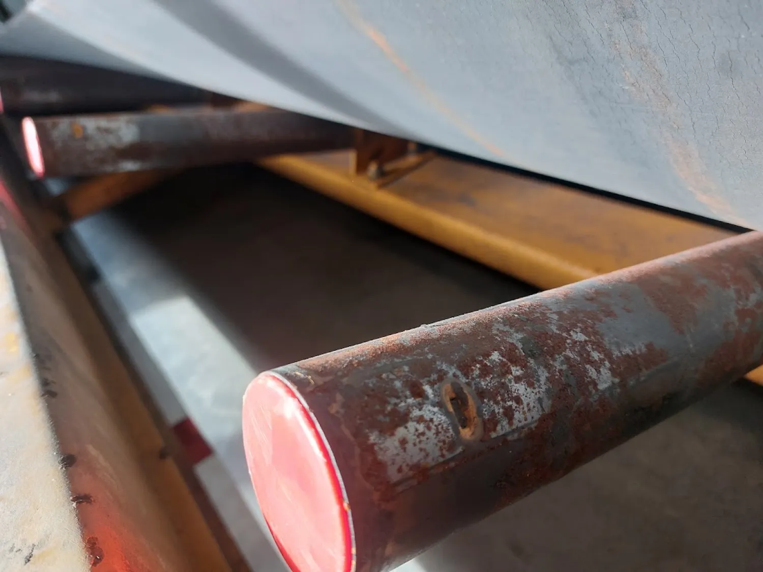 Bijlsma Hercules Trogband 800x70cm | Eindeloze Band