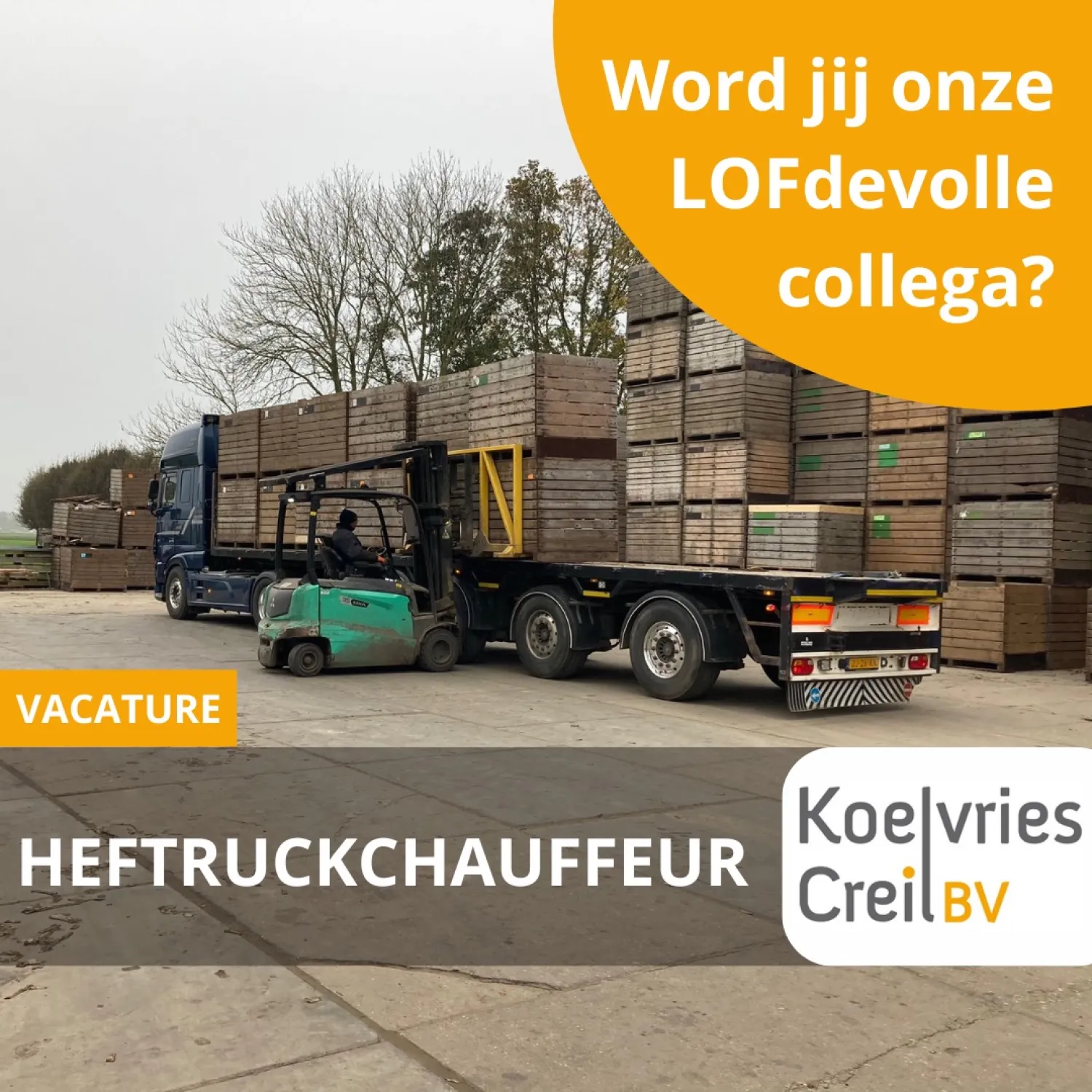 Heftruckchauffeur Koelvries Creil BV - Witlofspecialist
