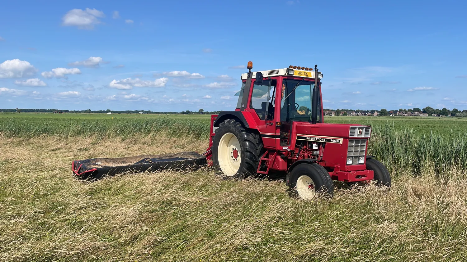 Hooi te koop: Onbemest land, Jacobskruidvrij