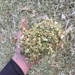 https://cdn.farmtrade.nl/media/155037/conversions/OENnwJ-thumbnail.webp