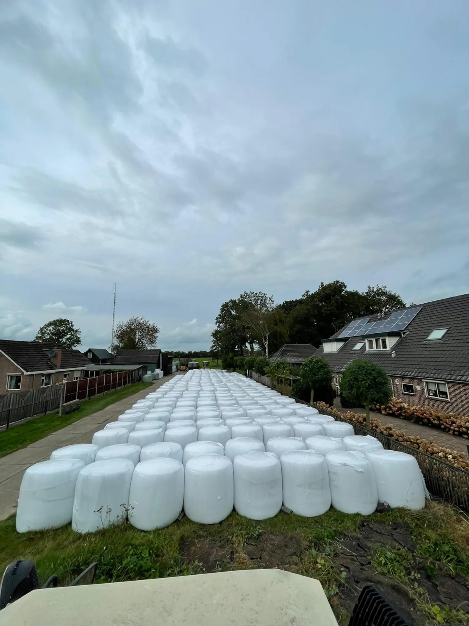 Maïs & Bietenpulp Balen Kopen | Veevoeder