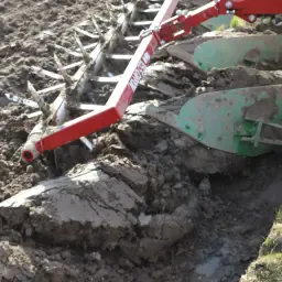 Groenbemesters voor aaltjesbestrijding & bodemverbetering