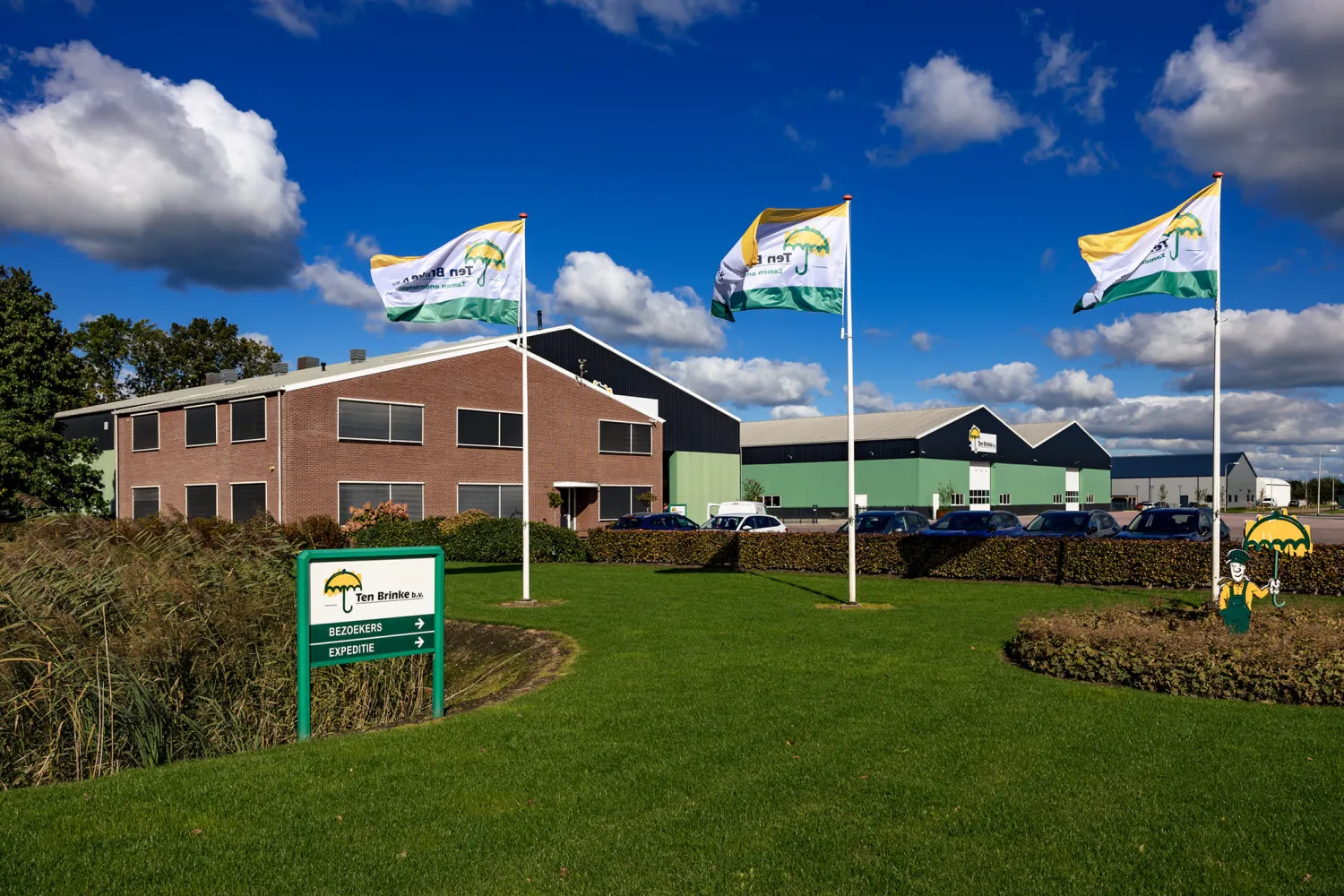 Groenbemesters voor aaltjesbestrijding & bodemverbetering