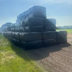 https://cdn.farmtrade.nl/media/155073/conversions/0YFpcn-thumbnail.webp