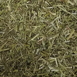 https://cdn.farmtrade.nl/media/155162/conversions/PJUH46-thumbnail.webp