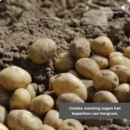 Spotlight Plus: Krachtige loofdoding voor aardappelen